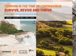 Tourism in the time of Coronavirus: Survive, Revive and Thrive