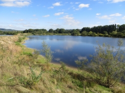 Businesses in Surrey to invest in nature
